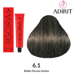 Tinte Igora · 6.1