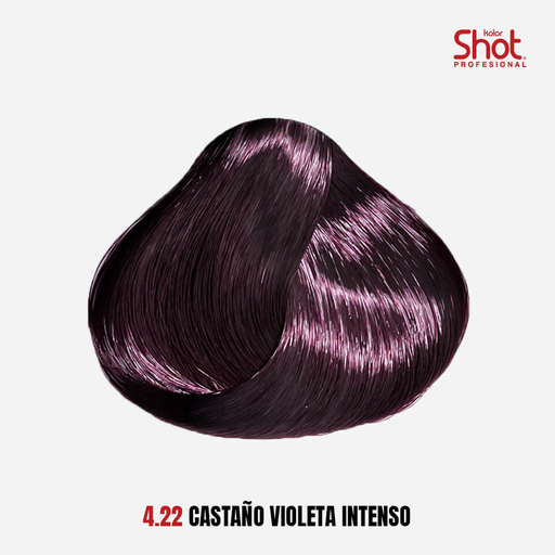 Tinte Kolor Shot (4.22)