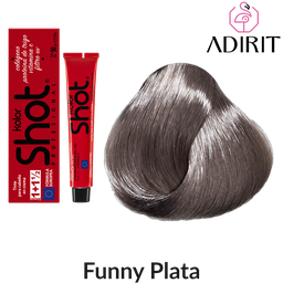 Mecha del tono Funny Plata