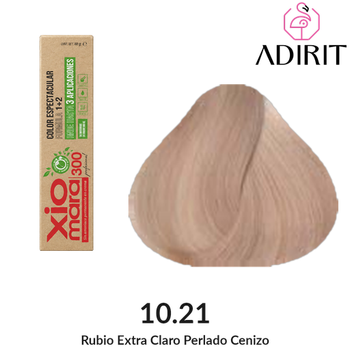 Tinte Xiomara 300 SA (10.21)