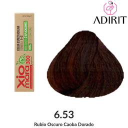 Tinte Xiomara 300 SA · 6.53